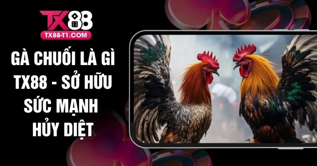 Gà Chuối Là Gì TX88 - Sở Hữu Sức Mạnh Hủy Diệt