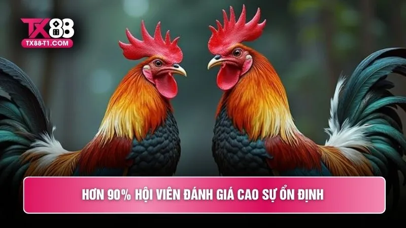 Hơn 90% hội viên đánh giá cao sự ổn định 