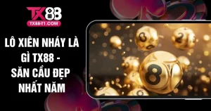 Lô Xiên Nháy Là Gì TX88 - Săn Cầu Đẹp Nhất Năm